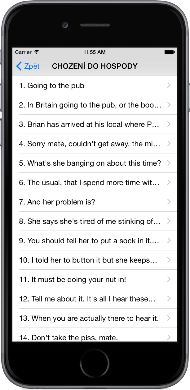 Hospodská angličtina na iPhone 6 - seznam vět